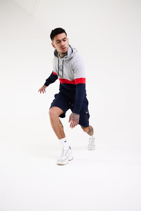 Cut N sew Panel Badge Print Hoody - Grey - Serious Royalty